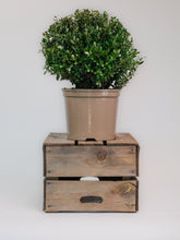 products/SotoProductShootLowQ-1907_c4196d5d-ea5e-49ba-8bc9-056b3397582b.jpg